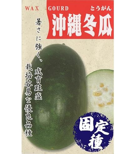 ミニとうがんの種 ミニ冬瓜(とうがん)(品種:F1こまちゃん)【野菜苗9cmポット／3個セット